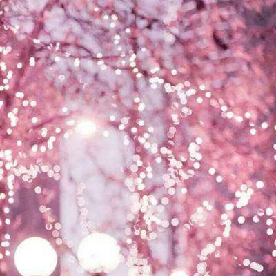 火博体育App官网